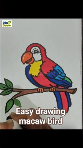 easy drawing of macaw #parrot #draw bird #macawbird #easydrawing #drawingtutorial