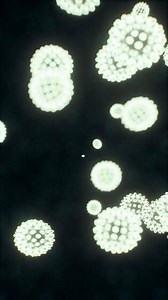 viruses under the microscopic view for education