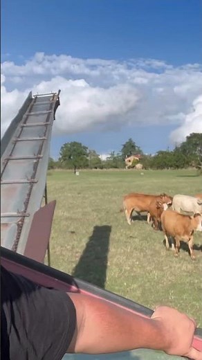 Hidden in drafts for 6 months 😂