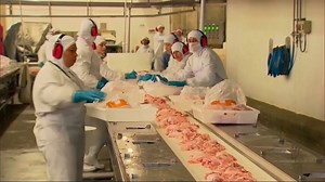 Business - Over 30 Brazilian companies accused of selling tainted meat