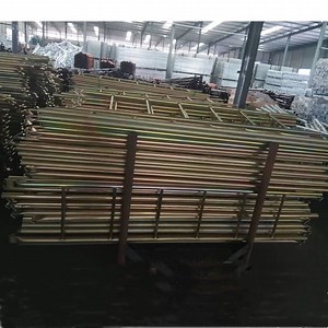 [Hot Item] Galvanized Scaffolding Steel Ladder with Hook Monkey Ladder for Frame System