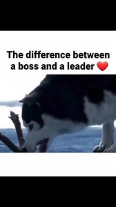 20K views · 299 reactions | Huge difference between a boss and a leader. #EMS #paramedicsonfacebook | Paramedics on Facebook | Facebook