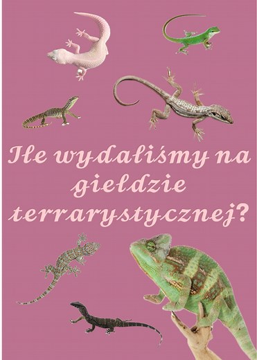 Giełda Terrarystyczna: Kasa Szybko Schodzi?