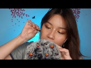 ASMR Bug Searching 🐜🐞