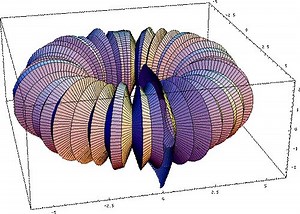 “#This_bubling_torus is a visual representation of a #diffusion_reaction process "à la Turing” on a #ring_of_cells.“ | Applications Of Mathematics