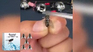 Bionic Fly Fishing Bait 2PACK (10 Flies) - Realistic Simulated Flies Fishing Lure, Self-Swimming Trout/Bass/Panfish Attractor, High Toughness TPR & Silicone, Eco-Friendly