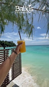 Say hello to July — sun-drenched mornings, playful beach escapes, and Balkis Fresh Juice in your hand. From luscious pomegranate to zesty orange, enjoy the pure taste of Lebanese summer wherever you are. #Balkis #HelloJuly #FreshDays #BalkisJuice #SummerDays #BeachMoment #FreshJuice | Balkis
