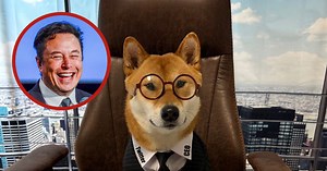 Elon Musk nombra a su perro como CEO de Twitter: Es muy bueno para los números