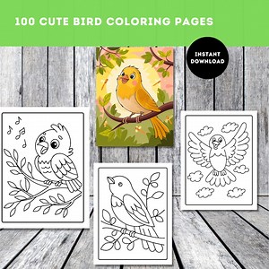 Bird Coloring Pages for Kids & Adults | Printable Bird Coloring Book PDF | Cute Birds to Color | Instant Download Nature Coloring Sheets - Etsy