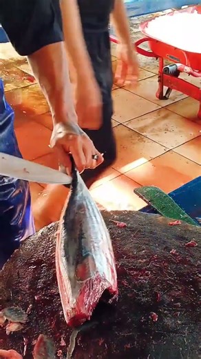 Jaw - Dropping 29 seconds Skipjack Tuna Splitting | No Edit! #shorts #NoEdit #tunacutting #fish
