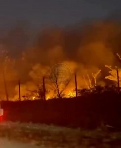 11K views | Two Conchs Charters on Reels | Facebook