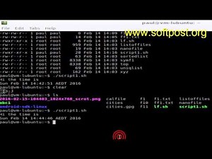 How to execute sh file in Arch Linux