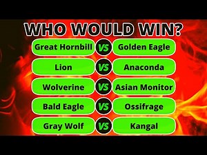 10 Animals in 5 Fights - Who Would Win?