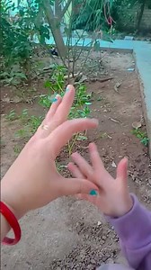 ❤️❤️❤️❤️