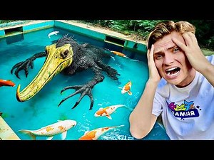 I Caught a Dangerous Monster Attacking My Fish!