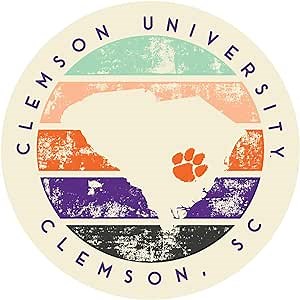 NCAA Clemson Tigers Unisex 4" Vinyl Sticker - State & Circle Stripes Stamp, Multi, One Size