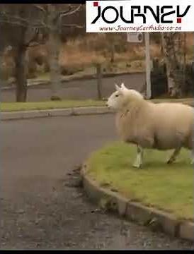 Ek hou van kaas bra - snaaks😅