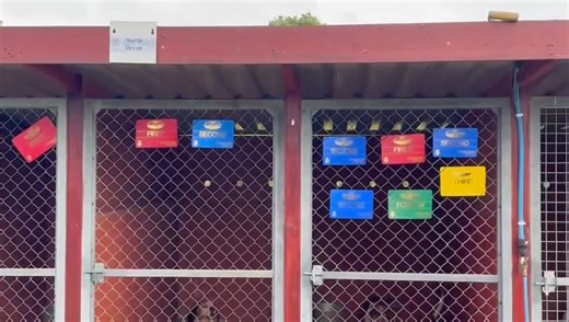 12K views · 297 reactions | A great day for the North Devon Beagles whose long journey to the Great Yorkshire Show was all worthwhile after taking home the bitch hound championship with Chilmark & Clifton Foot Breezy, and the reserve championship with North Devon Clover. #beagles #greatyorkshireshow | Countryside Alliance Hunting | Facebook