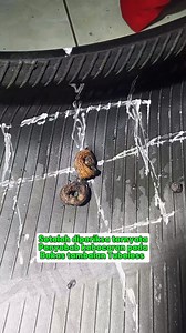 TAHU GAK BEDANYA TAMBAL BIASA VS HOT PRESS? 🤔👇 ​Kalau tambal tubeless biasa itu ibarat luka cuma dikasih plester, sewaktu-waktu bisa lepas atau bocor lagi. Tapi kalau TAMBAL HOT PRESS, itu ibarat luka yang dijahit dan tumbuh daging baru! ​Kenapa Hot Press lebih JOSS? ​Menggunakan mesin pemanas khusus (Bukan dibakar asal-asalan). ​Pakai karet mentah berkualitas tinggi. ​Hasilnya rata, kuat, dan tidak bikin ban keras. ​Masih mau hobi "tusuk cacing" kalau ada yang lebih aman dan permanen? Tanya-t