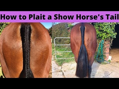 How to Plait a Horse's Tail | Show Horse Presentation | How to Braid a Horse's Tail
