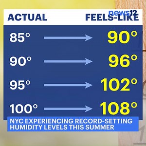 SOUPY SUMMER  Have you felt like this summer has been extra hot? Well that's thanks to the humidity - and News 12's Allan Nosoff explains how that humidity can impact you. https://bit.ly/3yd5SQF | News 12 Brooklyn | Facebook