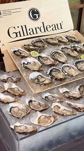 2.8K views · 25 reactions | 呂 Dive into Bangkok’s Ultimate Sunday...