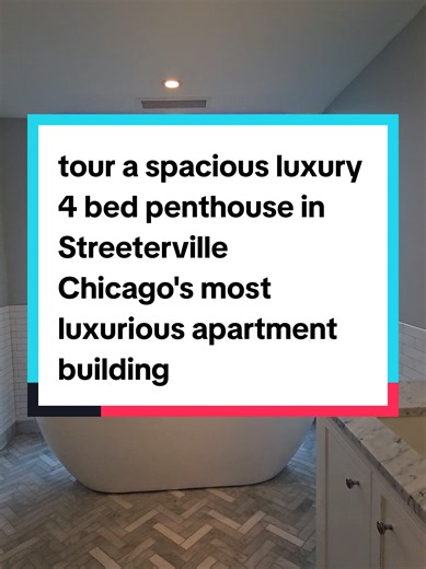 Chicago Penthouse Tour: Luxury 4-Bedroom Streeterville Penthouse
