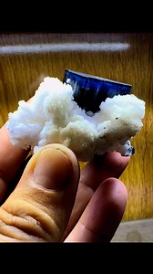 13 shares | A stunning indicolite tourmaline crystal with vibrant blue-hue, featuring a lustrous glassy termination. The well-formed crystal measures 3.5 x 3.4 cm and sits elegantly on a pristine Snow White albite matrix. Sourced from the renowned mineral-rich region of Skardu, Pakistan. Pm for. Price | Artistic minerals | Facebook