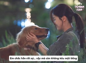 232K views · 6.3K reactions | Đôi khi, thứ khiến ta đau lòng nhất không phải là sự tàn nhẫn của con người, mà là sự trung thành vô điều kiện của một chú chó.   Phim: “Luật Sư Công Ích - Pro Boon” #tiemhoanhai #probono #JungKyungHo #sojooyeon | Cbiz Tiệm Hoa Nhài | Facebook