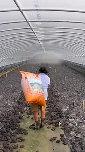 20K views · 43 reactions | This is considered one of the...