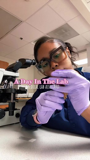 Lab Assistant Duties and Responsibilities Explained