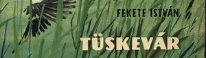 Fekete István: Tüskevár