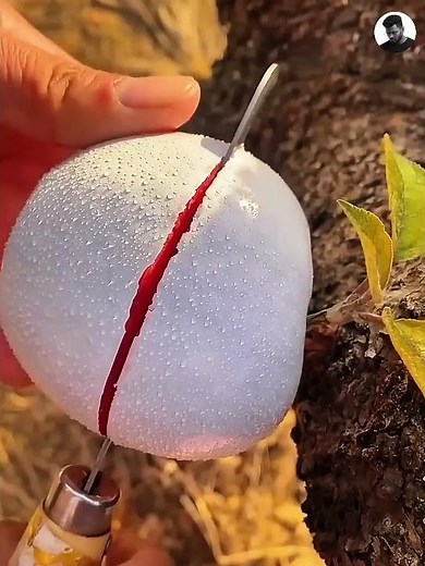 Very unique APPLE | #shorts