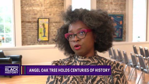 Angel Oak Tree holds centuries of history