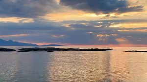 13K views · 850 reactions | The inspiration behind the painting. | Hope Blamire Artist | Facebook