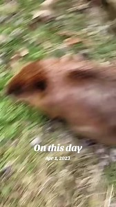 On This Day: April 1st Historical Events