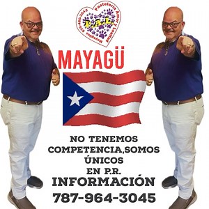 20 reactions · 4 comments | #PAL Y #TIORAMON ‍⬛TIENDA DE...