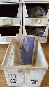 FREE SHIPPING alert! The Warehouse Girls are always working hard to get your orders out to you, and we are so thankful for all the love and care that they put into each box! This Holiday season, get FREE SHIPPING on domestic orders over $50 and FREE SHIPPING on international orders over $100! You must select USPS Priority Mail (3-4 day) shipping. *promo does not apply to orders that include Yulex, changing capes, and ponchos Check out our story for more shipping details. | SEEA | Facebook