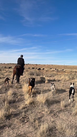 Another Navajo cowboy! #navajo #navajonation #Arizona #horses | The Farm on Route 66