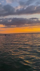 19 reactions | Ces couleurs !!! | Imaz Press Réunion (Page officielle) | Facebook