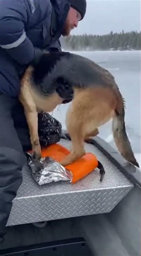 Dog Frozen in Lake! ❄️ Ice Breaker Boat!