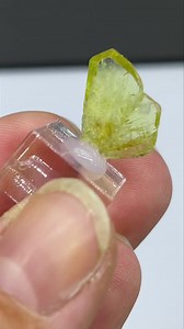 Chrysoberyl from Lac Alaotra (Madagascar) size: 1.3 cm, price: $120 ( shipping fee). We ship worldwide. Please DM to claim or get more details. To see more of our minerals visit www.SpiriferMinerals.com 8118 #spiriferminerals #spirifer #mineralcollecting #mineralspecimen #mineralcollection #rockhounding #rockhound #minerals #mineral #rocks #rock #fineminerals #mineralogy #geology #crystalsforsale #mineralsforsale #amethyst #quartz #scepter #amethystscepter #quartzscepter # | Spirifer Minerals