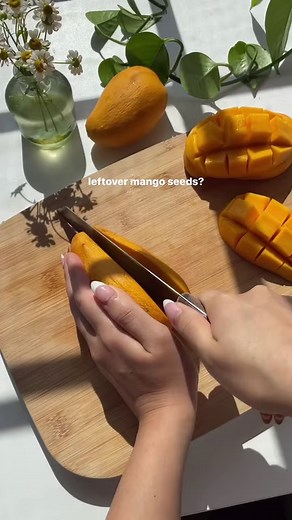 Make mango syrup from the seed and skins!! perfect bc it’s MANGO SEASONNN 🥭🥭🥭 I've used this to make matcha mango, mango green tea and a passionfruit mango tea, all sooo good. #mango #mangoes #homecafe #recipes #easyrecipes #healthyrecipes #healthylifestyle #healthyfood #healthyliving #breakfastideas #smoothie #summer | smoothieweightloss.guide