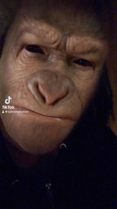 PEELS #canada #troubadours #Messenger #LVFLAGSB #peel #banana | Ed Roman | Facebook