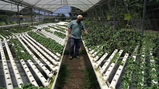 Puerto Ricans take recovery into their own hands 6 years after Hurricane Maria