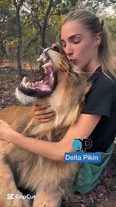 15K views · 124 reactions | JUNGLE JITTERS ❤️✅, Forbidden Desire 凉, White Woman vs. African Woman in the Jungle. #deltapikin | Delta Pikin | Facebook