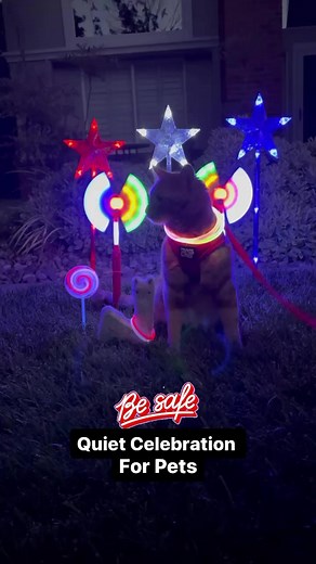 Celebrate with quiet and fun lights, instead of fireworks! 😻 Keep pets safe! 🐱🐶❤️🇺🇸 #happycat #beautiful #catsofinstagram #dogsofinstagram #july #holiday #summer #fun #grateful #loveyou #havefun #besafe #celebrate #usa #care #petanxiety #fireworks #reels | Tiger JoJo
