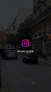 #noel | Bikes n' Babes n' Rock n' Roll