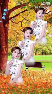 1.8M views · 29K reactions | Trinh Lâm & trường Trinh chúc cả nhà nghe nhạc thu giãn | Thích âm nhạc | Facebook