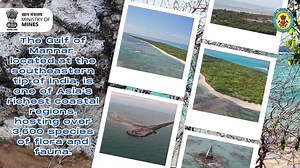 1.8K views · 75 reactions | Discover the beauty of Dhanushkodi and Adam's Bridge, a breathtaking natural formation of patch reefs, sandbanks, and deep channels that gracefully link India's Pamban Island to Sri Lanka's Mannar Island. Watch: Ministry of Mines, Government of India Geological Survey of India | Kishan Reddy Gangapuram | Facebook